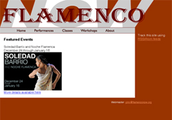 Flamenco Now